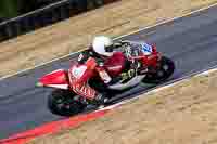 enduro-digital-images;event-digital-images;eventdigitalimages;no-limits-trackdays;peter-wileman-photography;racing-digital-images;snetterton;snetterton-no-limits-trackday;snetterton-photographs;snetterton-trackday-photographs;trackday-digital-images;trackday-photos